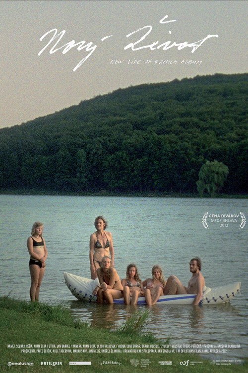 Movie poster for Nový život (2013)