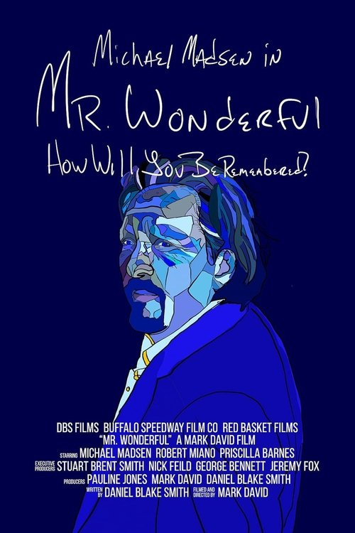 Movie poster for Mr. Wonderful (2026)