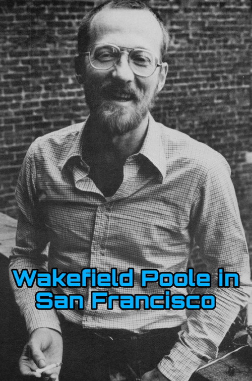 Movie poster for Wakefield Poole in San Francisco (2016)