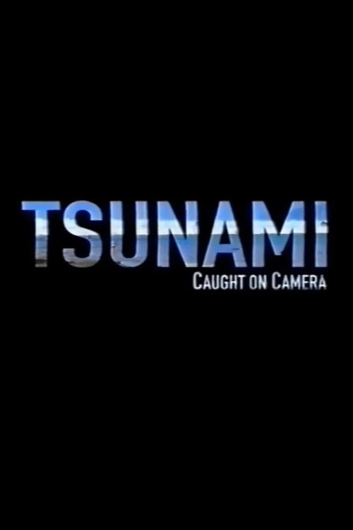 Movie poster for Tsunami: Caught on Camera (2009)