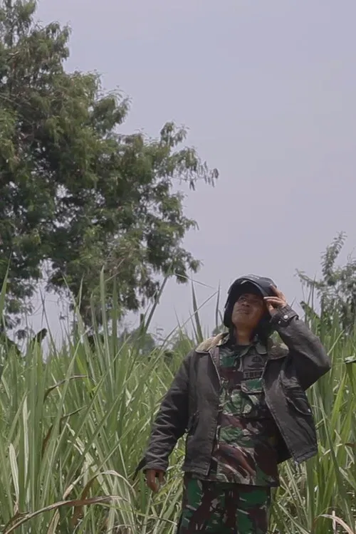 The Travelling Period poster