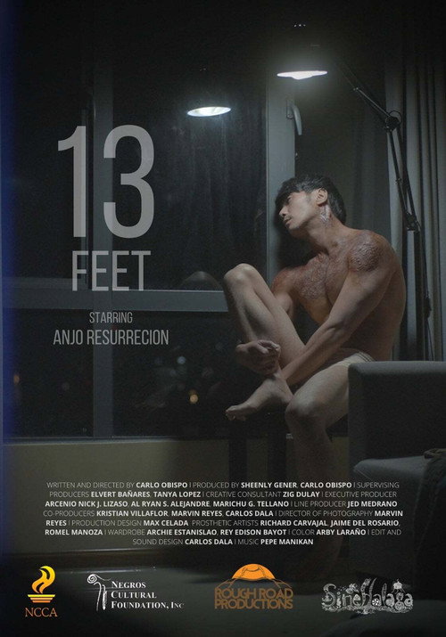 Movie poster for 13 Feet (2021)