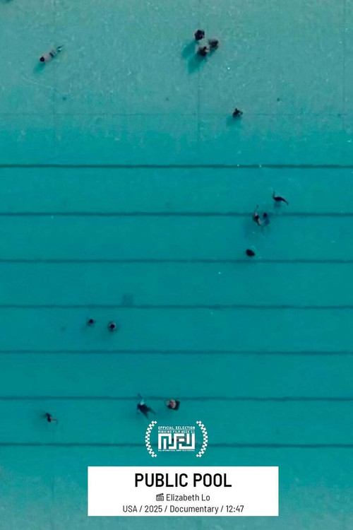Movie poster for Public Pool (2025)
