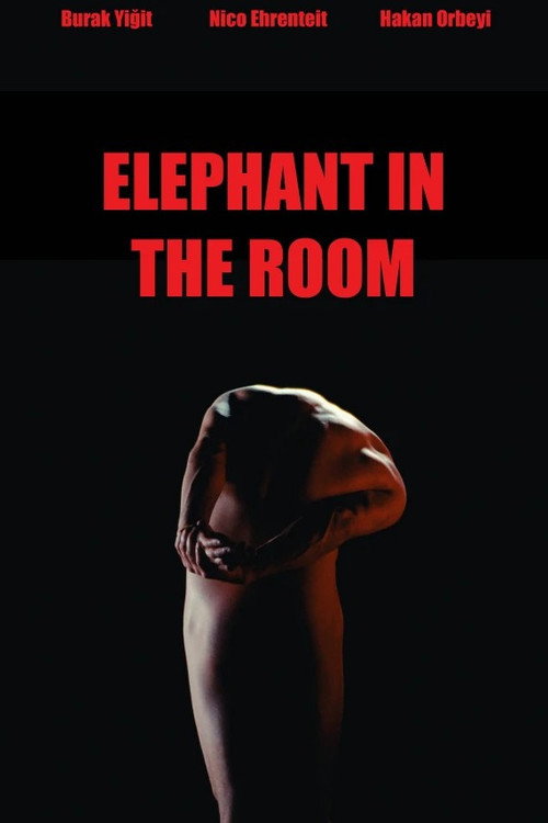 Movie poster for Elephant in the Room (2025)