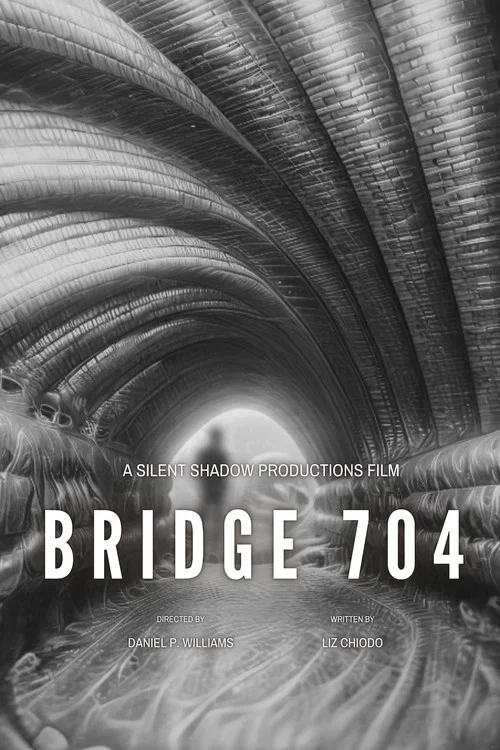 Movie poster for Bridge 704 (2026)