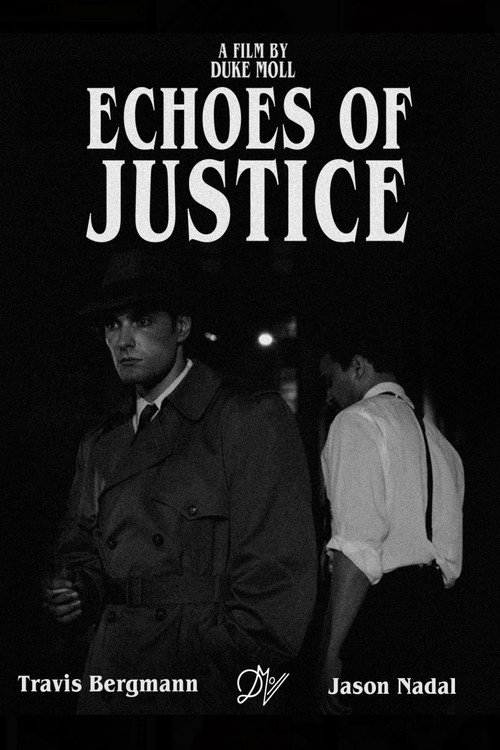 Movie poster for Echoes of Justice