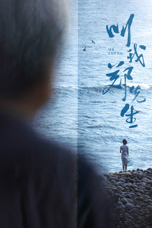 Movie poster for Mr. Zheng (2022)