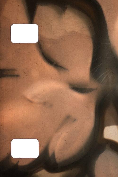 Movie poster for Phytography (2020)