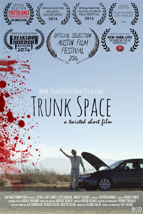 Movie poster for Trunk Space (2016)