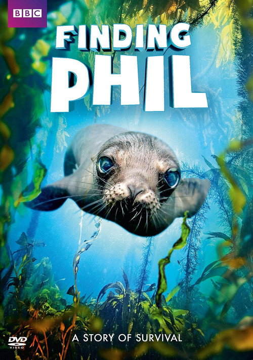 Movie poster for Finding Phil (2016)