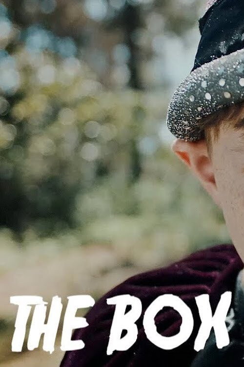 Movie poster for The Box (2018)