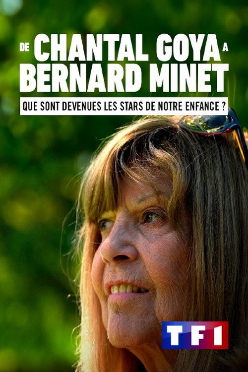 Movie poster for De Chantal Goya à Bernard Minet : Que sont devenues les stars de notre enfance ? (2023)