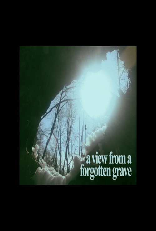 Movie poster for A View From A Forgotten Grave (2024)