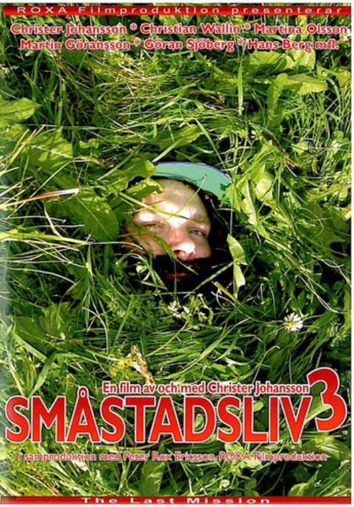 Movie poster for Småstadsliv 3 (2010)