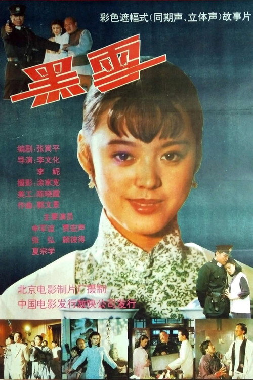 Movie poster for Black Snow (1992)
