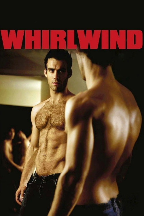 Movie poster for Whirlwind (2007)