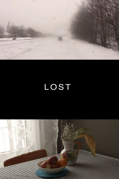 Movie poster for Lost (2016)
