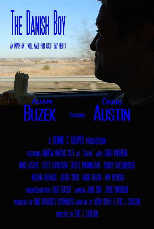 Movie poster for The Danish Boy (2018)
