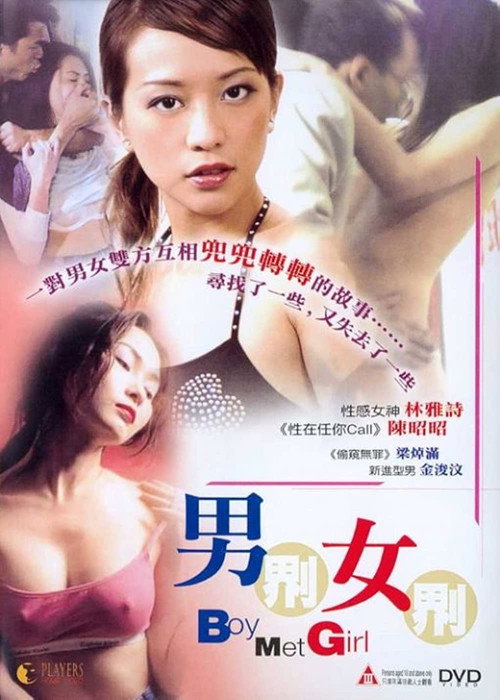Movie poster for Boy Met Girl (2003)