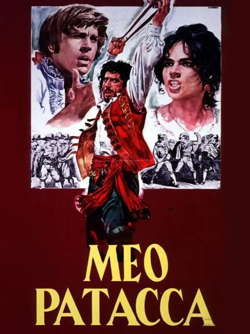Movie poster for Meo Patacca (1972)