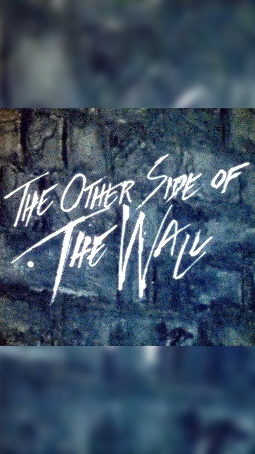 Movie poster for The Other Side of the Wall (1982)