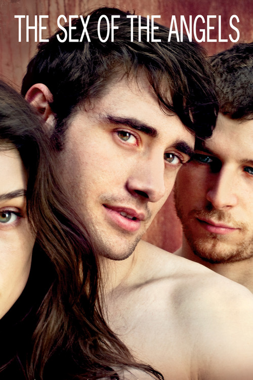 Movie poster for Angels of Sex (2012)