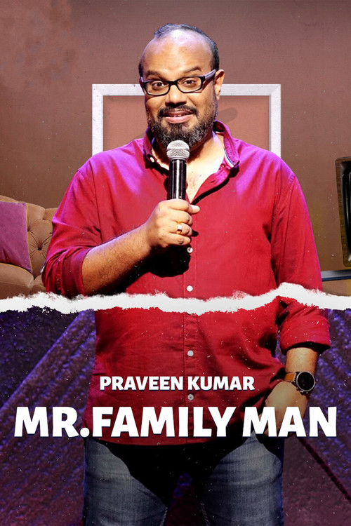 Movie poster for Mr. Family Man (2020)