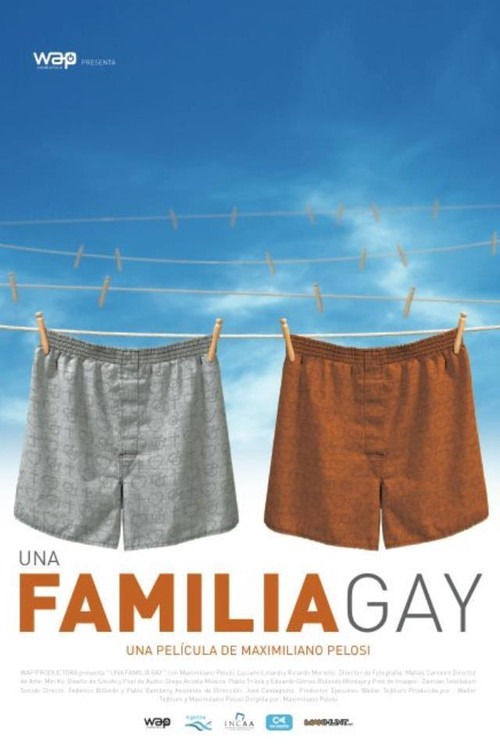 Movie poster for A Gay Family (2013)
