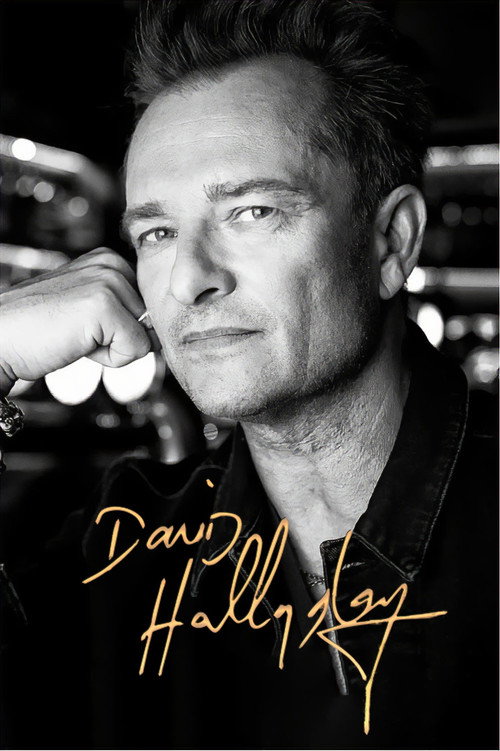 Movie poster for David Hallyday (2023)