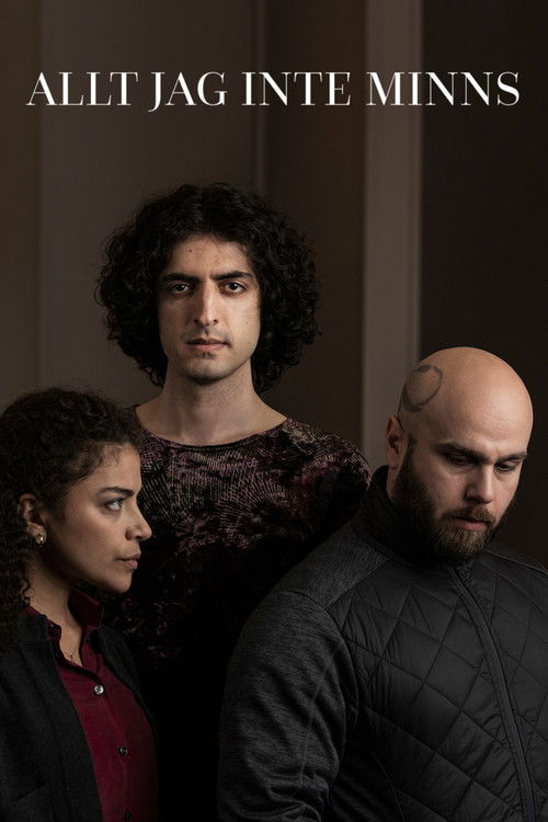 Allt jag inte minns poster