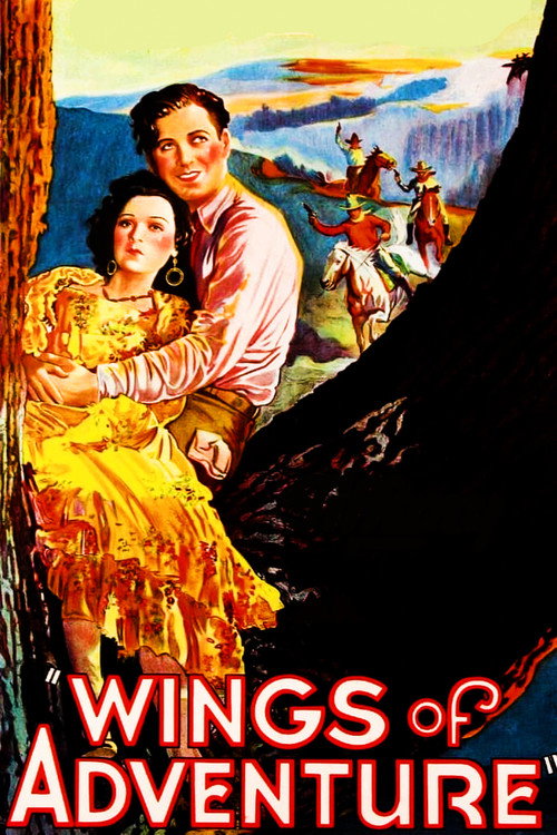 Movie poster for Wings of Adventure (1930)