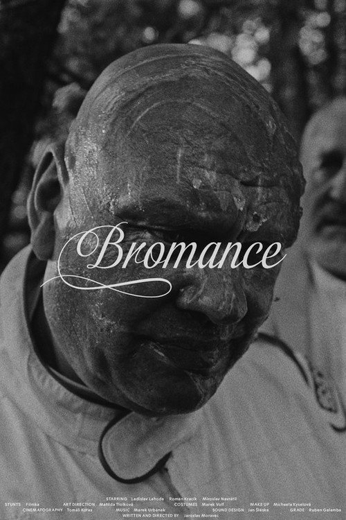 Movie poster for Bromance (2021)