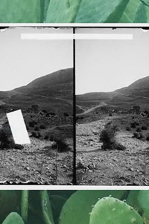 Palace of the Slave poster