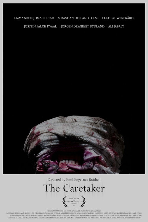 Movie poster for The Caretaker