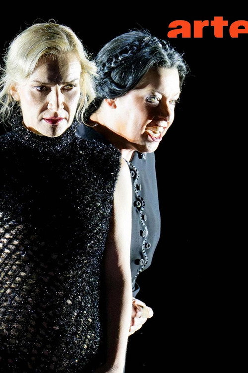 Movie poster for Richard Strauss: The Woman without a Shadow @ Aix-en-Provence Festival 2026 (2026)