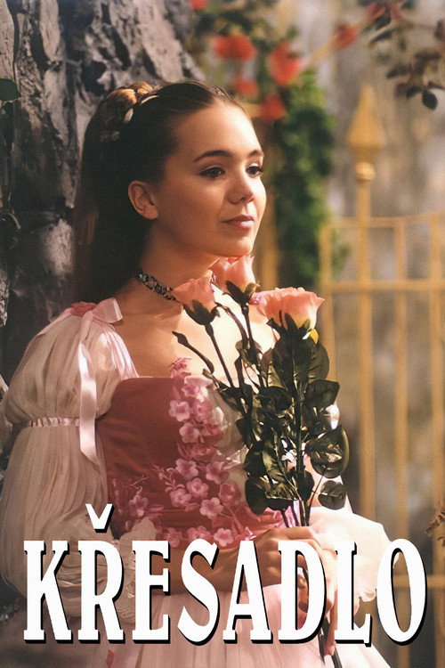 Movie poster for Křesadlo (2004)