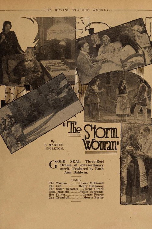 Movie poster for The Storm Woman (1917)