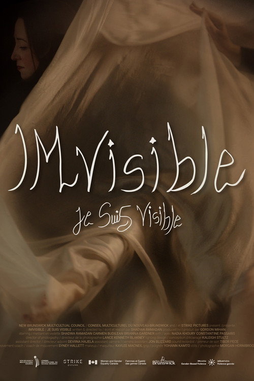 Movie poster for IMvisible (2026)