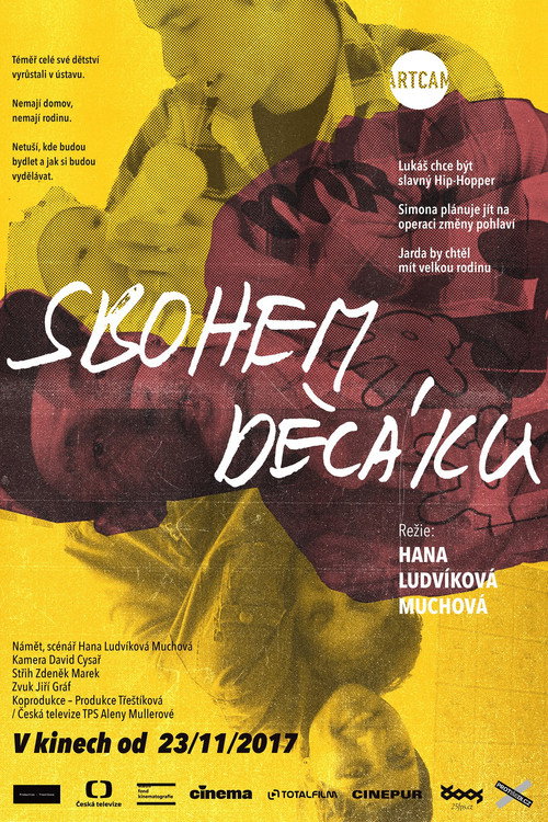 Movie poster for Sbohem děcáku (2017)