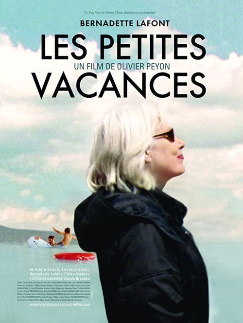Movie poster for Stolen Holidays (2007)