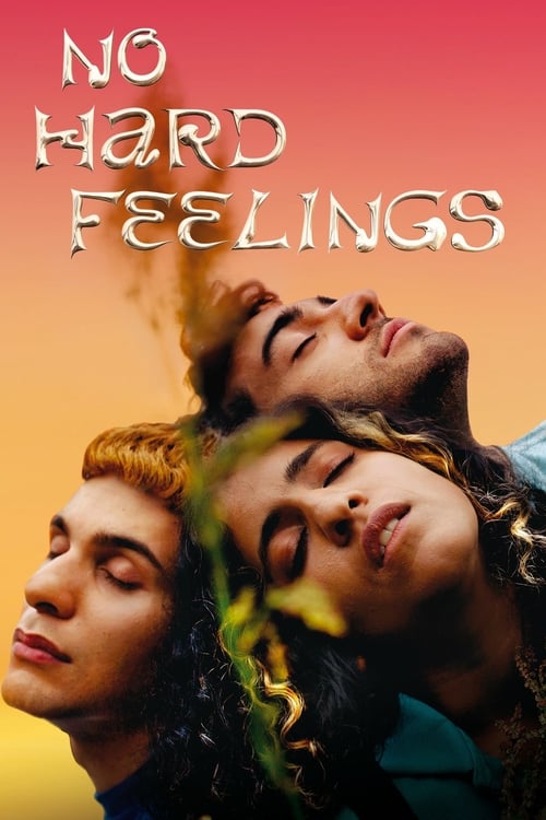 Movie poster for No Hard Feelings (2020)
