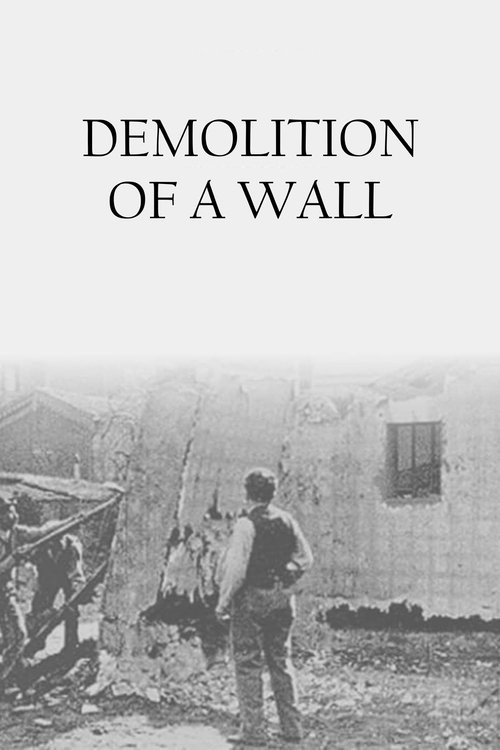 Movie poster for Demolition of a Wall (1896)