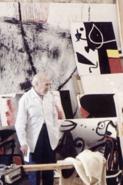 Movie poster for D’un roig encès: Miró i Mont-roig (1979)