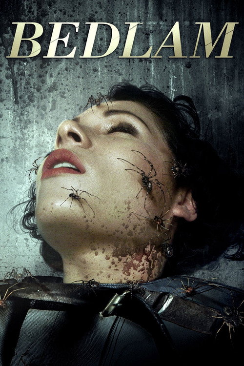 Movie poster for Bedlam (2015)