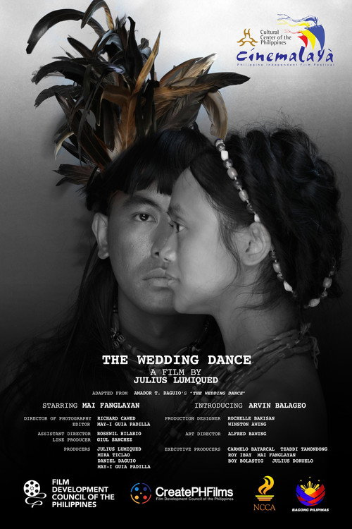 Movie poster for The Wedding Dance (2024)