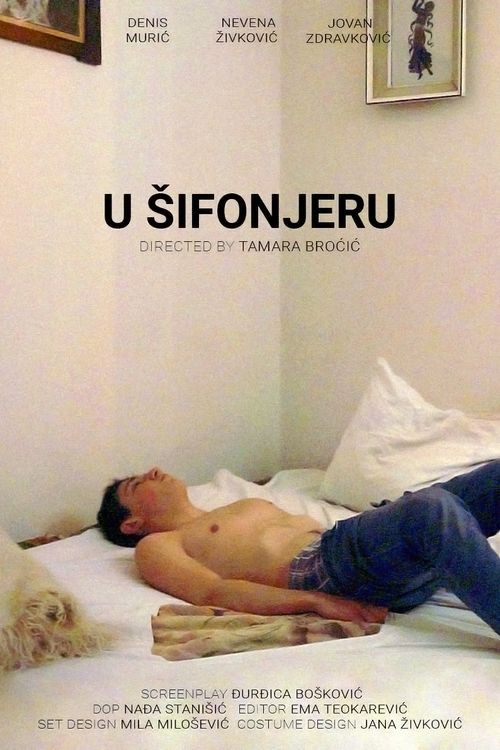 Movie poster for In the Closet (2019)