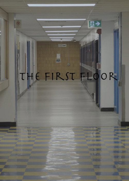 Movie poster for The First Floor (2023)