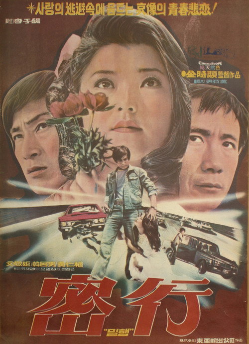 Movie poster for Secret Going (1975)
