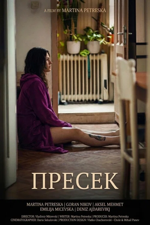Movie poster for Intersection (2025)