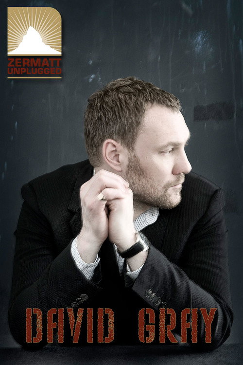 Movie poster for David Gray: Zermatt Unplugged (2011)